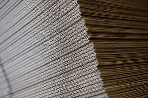 Golfkarton dozen in Groningen